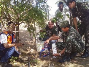 Educação Ambiental